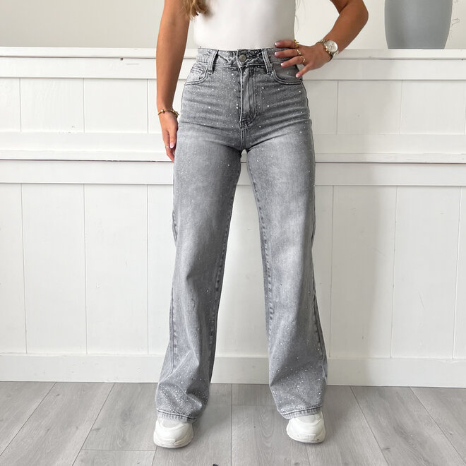 Izzy Sparkle Jeans Grijs