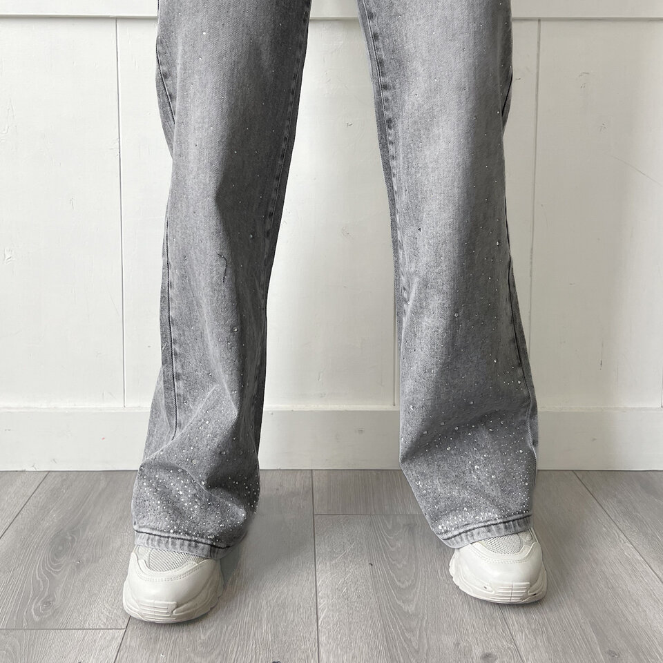 Izzy Sparkle Jeans Grijs