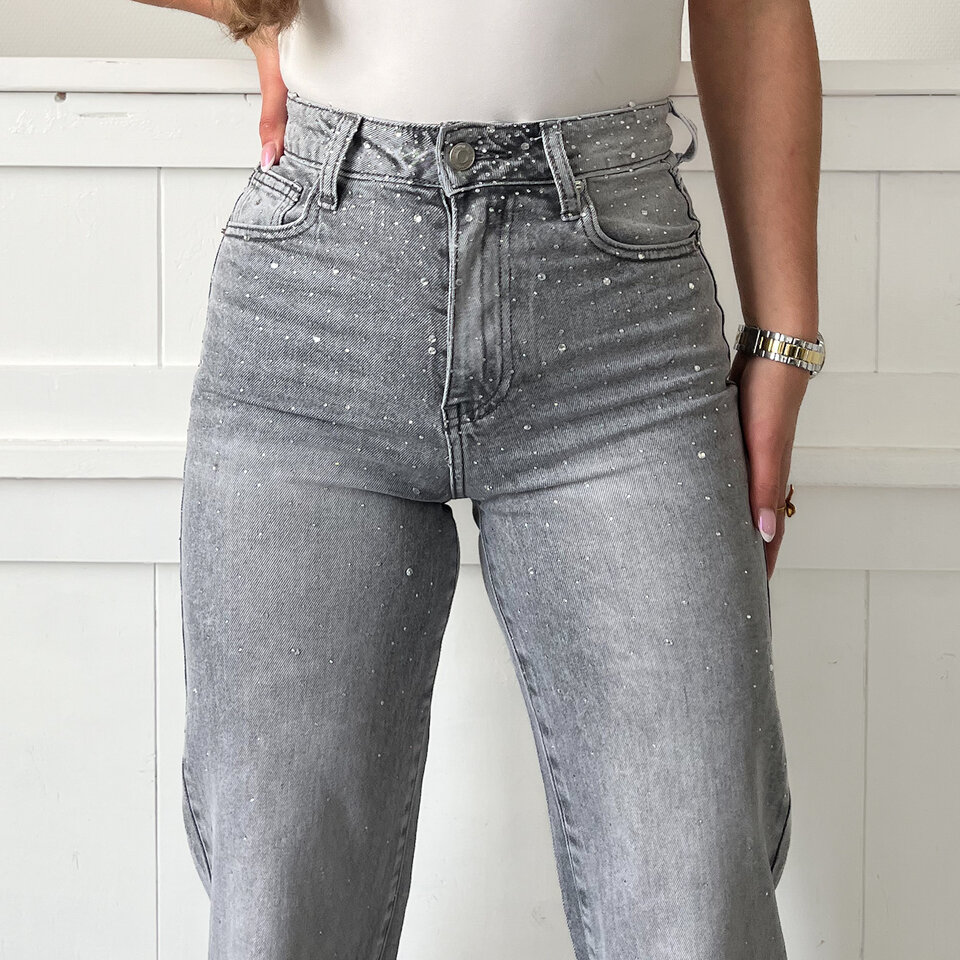 Izzy Sparkle Jeans Grijs