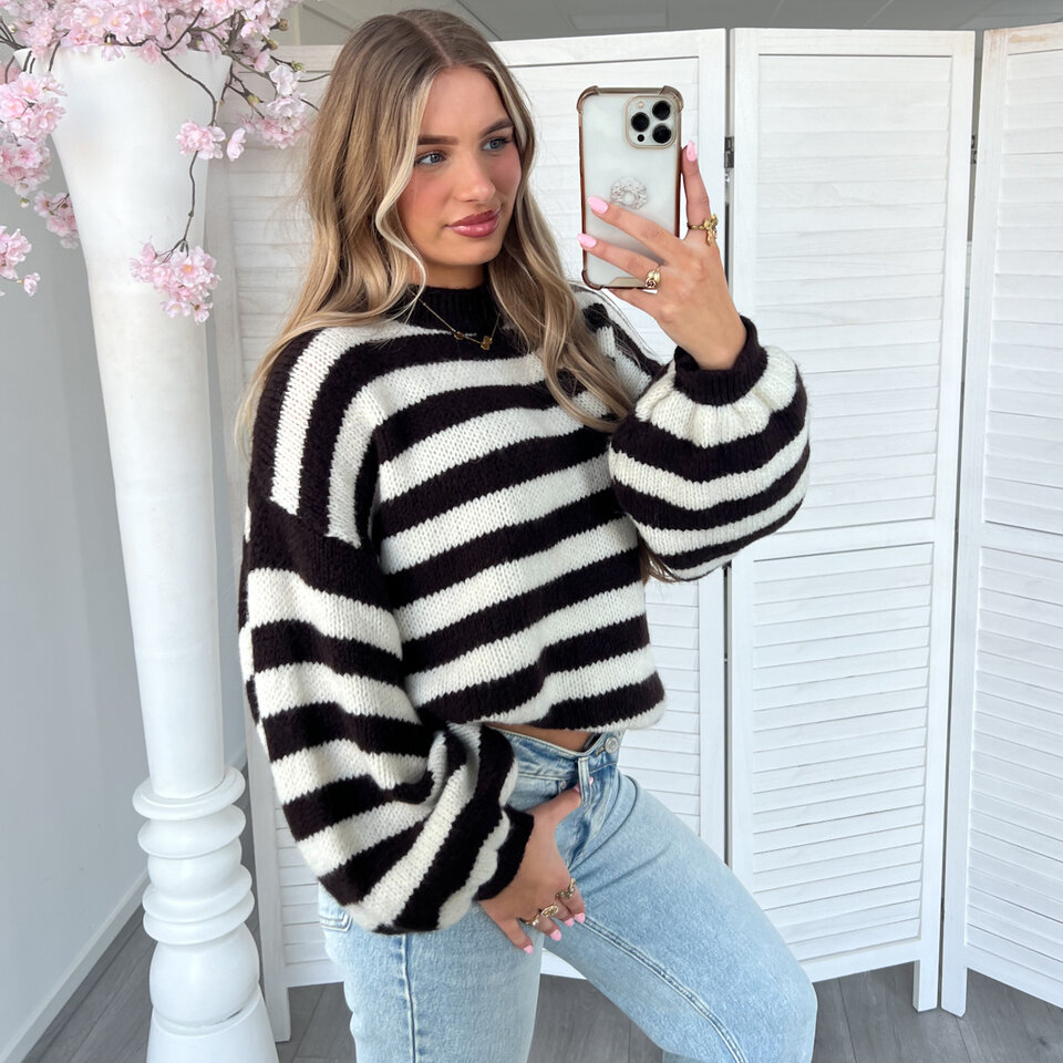 Strepen Trui Wit Bruin