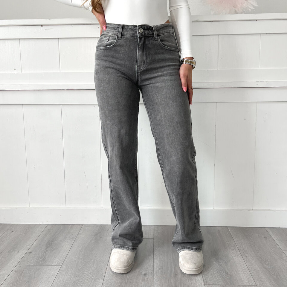 Anna Wide Leg Jeans Grijs