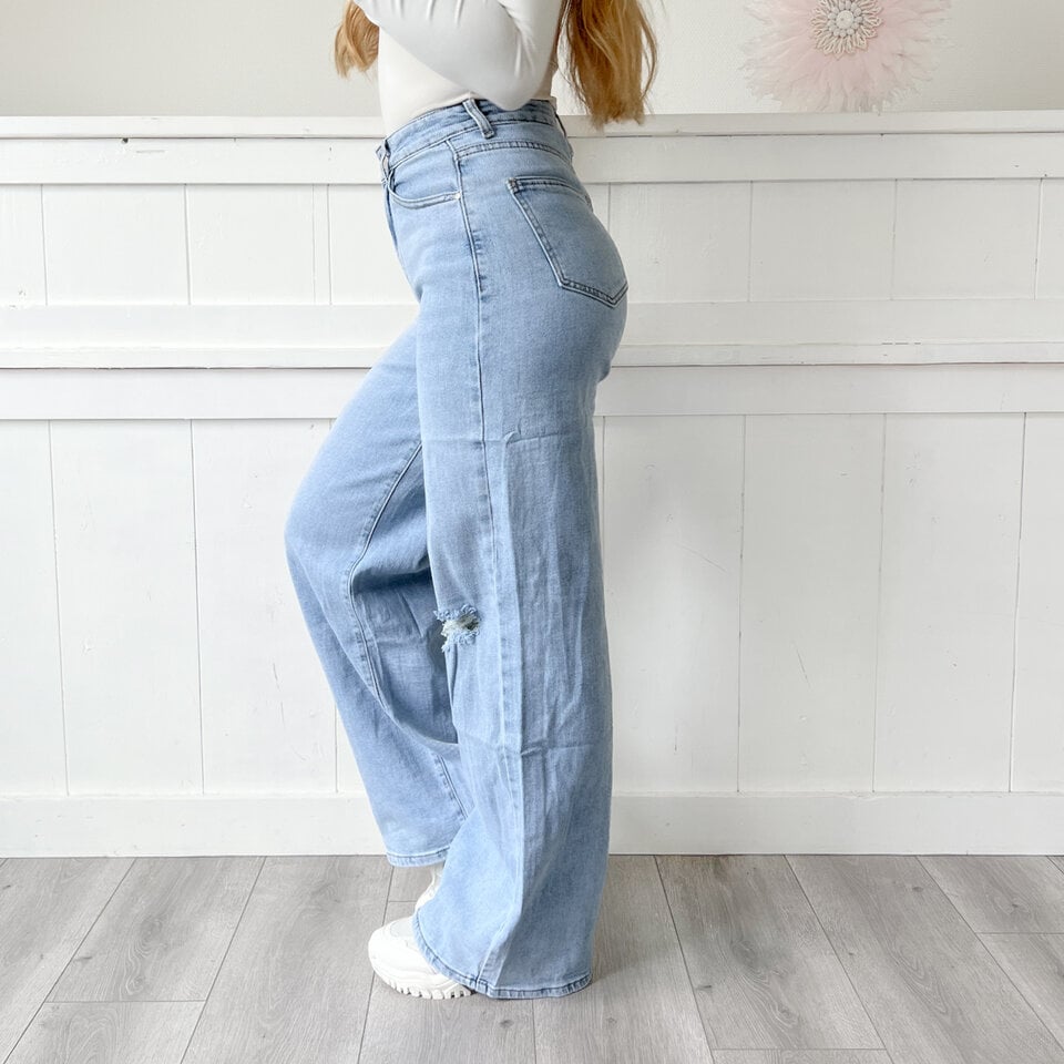 Shannon Wide Leg Jeans Blauw