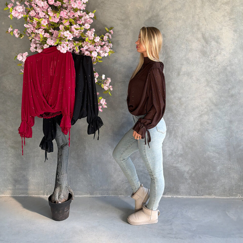 Overslag Sparkle Blouse Bruin
