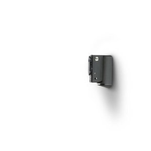 Bluesound WM100 Muurbeugel - Pulse Flex - Zwart Bluesound WM100 Muurbeugel - Pulse Flex - Zwart