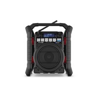 Teamplayer PLUS oplaadbare batterijen Bluetooth, DAB+, FM, AUX In, USB Speler bouwradio met batterijen