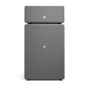 Audio Pro Drumfire II Actieve Vloerstaande Speaker -Grijs Audio Pro Drumfire II Actieve Vloerstaande Speaker -Grijs