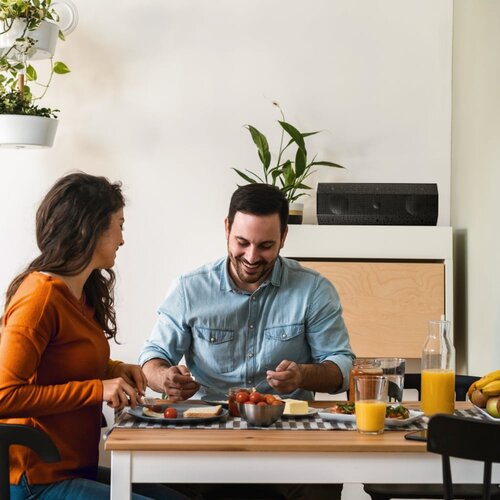 Lithe Audio Lithe Audio iO1 Indoor & Outdoor Passieve Speaker - Zwart (Paar)