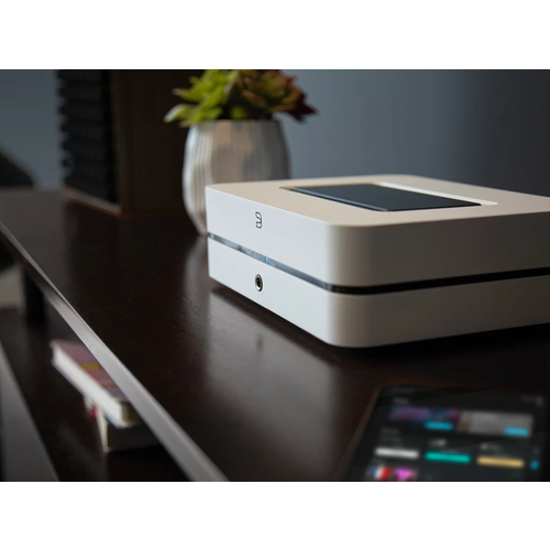 Bluesound Bluesound POWERNODE N331 Streamer - Wit