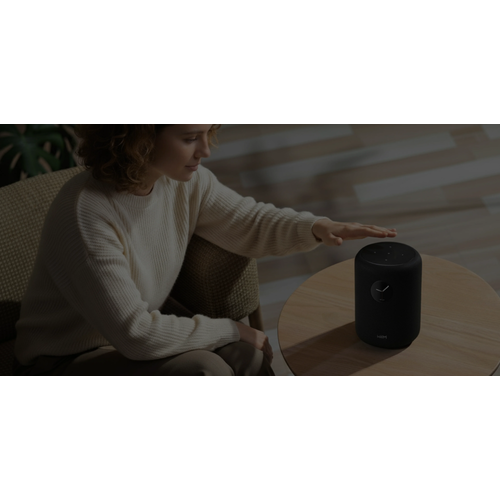 WiiM Wiim Sound All-in-One Luidspreker - Zwart WiiM Wiim Sound All-in-One Luidspreker - Zwart