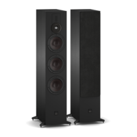 Sonik 9 Passieve Vloerluidspreker - Black Ash (Paar)