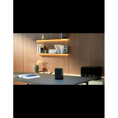 WiiM Wiim Sound Lite Wifi/Bluetooth Speaker - Zwart