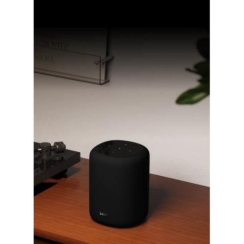 WiiM Wiim Sound Lite Wifi/Bluetooth Speaker - Zwart