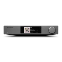 CXN100 SE Streamer met Wifi - Lunar Grey