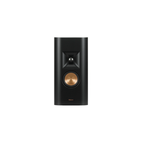 RP-140D Passieve On-Wall Speaker - Zwart (Stuk)