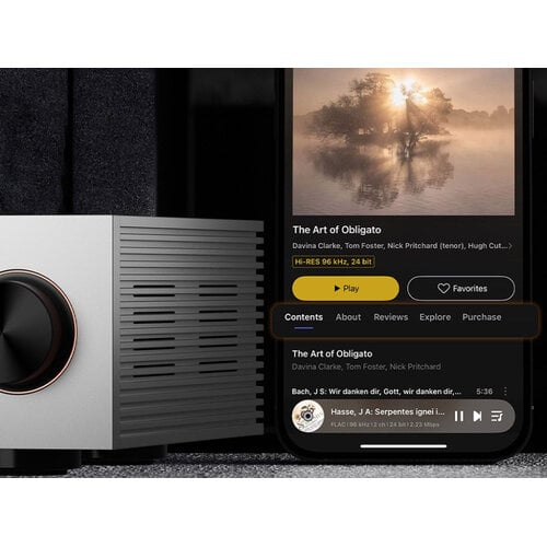 Eversolo Eversolo DMP-A6 Master Edition Gen2 Streamer met Wifi/Bluethooth - Zilver Eversolo Eversolo DMP-A6 Master Edition Gen2 Streamer met Wifi/Bluethooth - Zilver