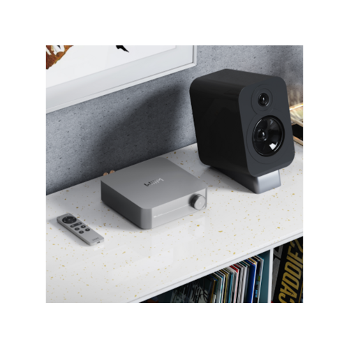 WiiM Wiim Voice Remote 2 - Zilver WiiM Wiim Voice Remote 2 - Zilver