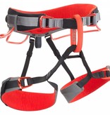 Aloha Travel Agency Momentum Harness