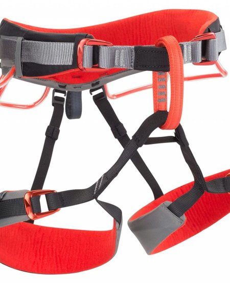 Momentum Harness