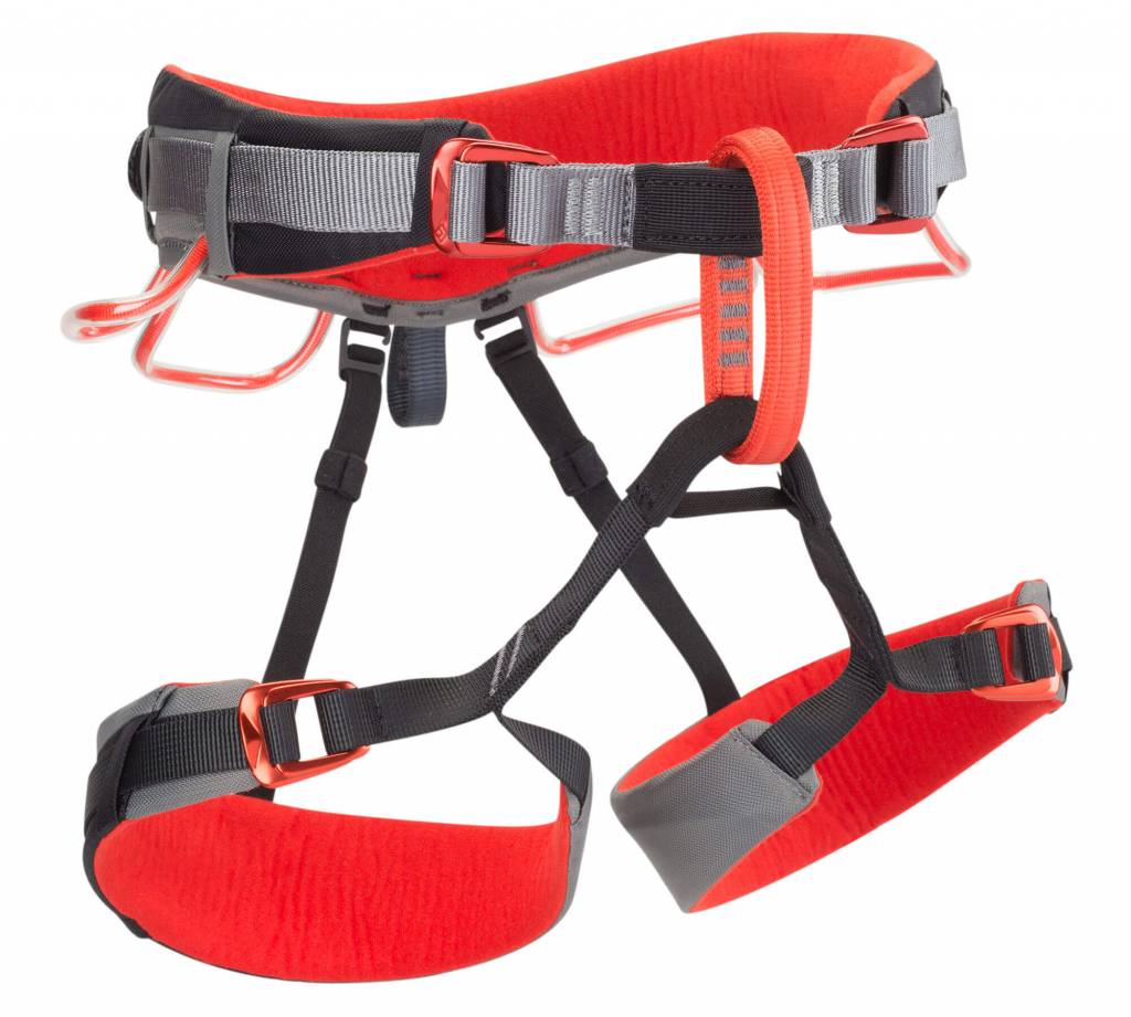 Aloha Travel Agency momentum Harness