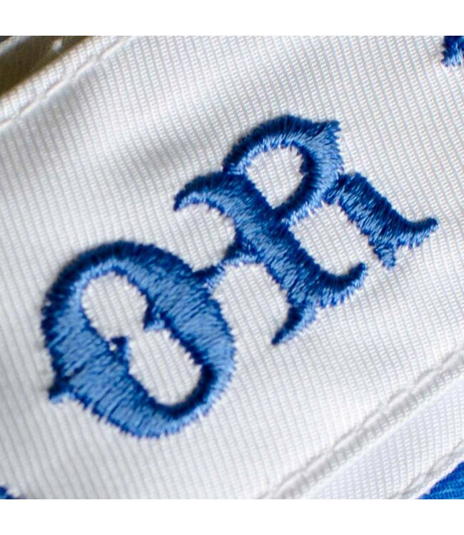 PRIDEorDIE MMA Fightshorts Reckless White Blue