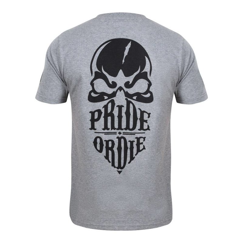 Pride or Die PRiDE or DiE T-Shirt Reckless Grijs Vechtsportkleding