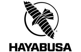 Hayabusa