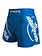 Hayabusa Hayabusa Muay Thai Kickboxing Shorts 2.0 Blue