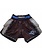 Booster Booster Muay Thai Shorts TBT Pro 4.19 Kickboxing Shorts