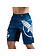 Hayabusa Hayabusa Chikara 4.0 Fight Shorts Blue MMA Short