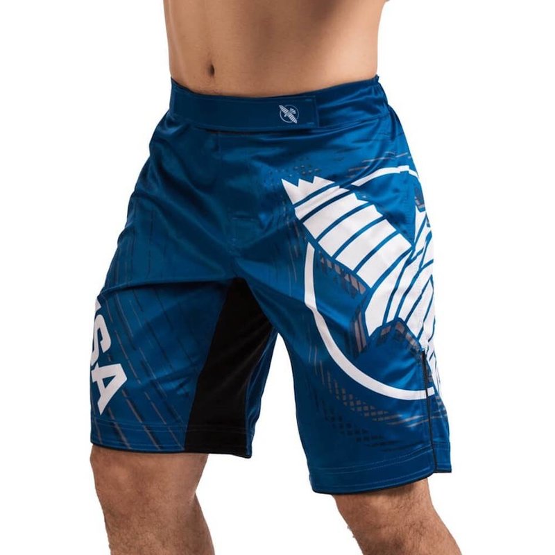 Hayabusa Hayabusa Chikara 4.0 Fight Shorts Blau