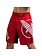 Hayabusa Hayabusa Chikara 4.0 Fight Shorts Red - Hayabusa MMA Fightwear