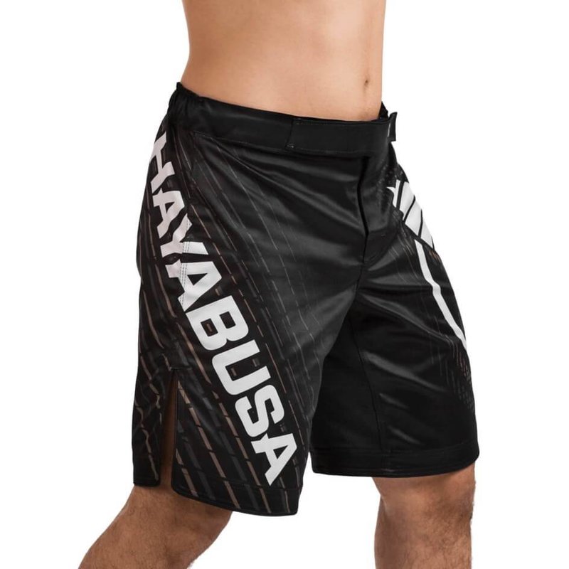 Hayabusa Hayabusa Chikara 4.0 Fight Shorts Schwarz - Fightstore Germany