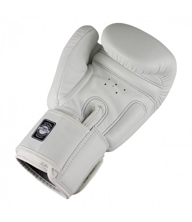 Twins Special BGVL3 Leather Boxing Gloves White – Muay Thai & Kickboxing