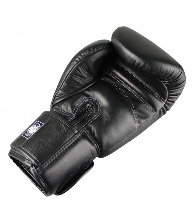Twins Special BG‑N Leather Sparring Boxing Gloves – Black