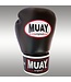 MUAY® MUAY Premium Leather Boxing Gloves Black Silver - Copy