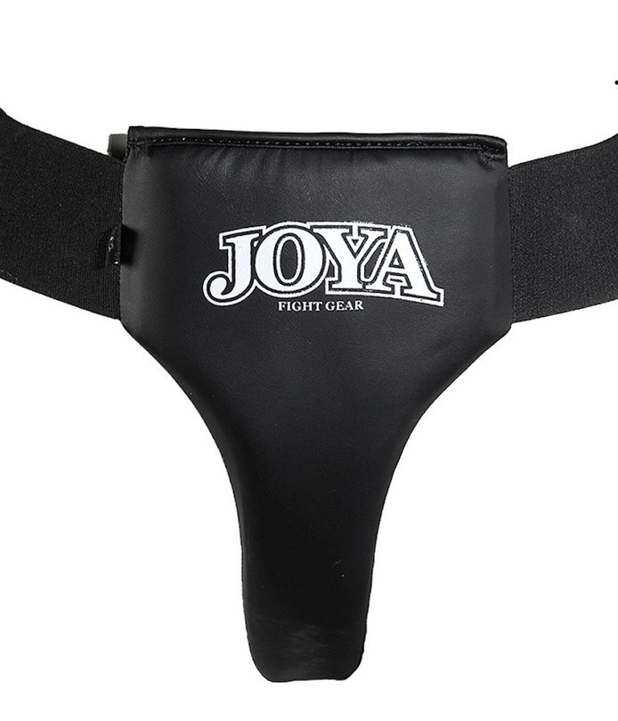 fighting groin protector