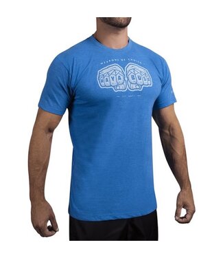 Hayabusa Hayabusa Weapens of Choice T-shirt Blauw Vechtsport Kleding