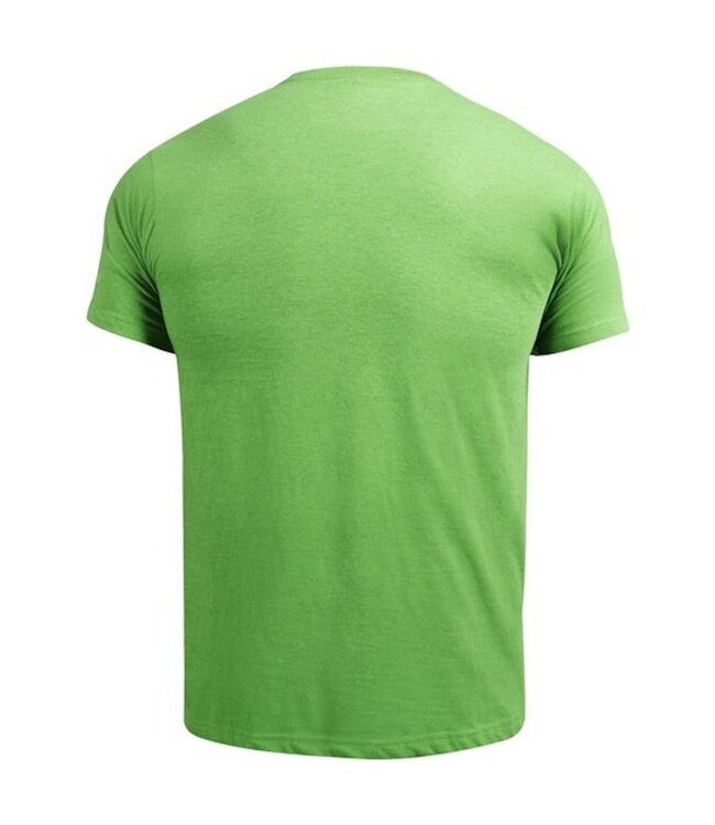 Hayabusa Weapons of Choice T Shirt Green Fightstore Europe