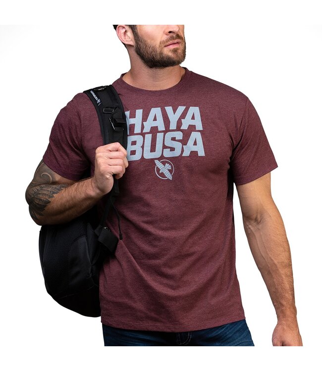 Hayabusa Casual Logo T-Shirt Rot