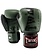 Twins Special Twins Muay Thai Boxing Gloves BGVL 8 Green Kickboxing