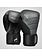 Hayabusa Hayabusa Bokshandschoenen T3 Donkergrijs Zwart Boxing Gloves