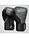 Hayabusa Hayabusa Boxing Gloves T3 Charcoal Black Fightshop Europe