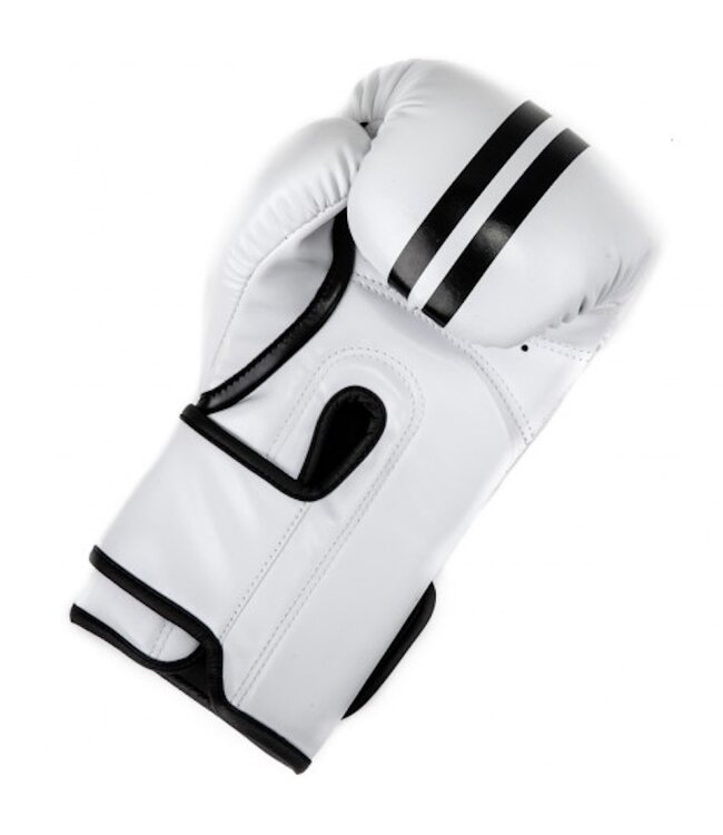 Booster Bokshandschoenen BG Youth ELITE 4 Wit Zwart