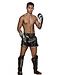 Booster Pro Range BSG V 3 Kickboxing Shinguards Black Foil