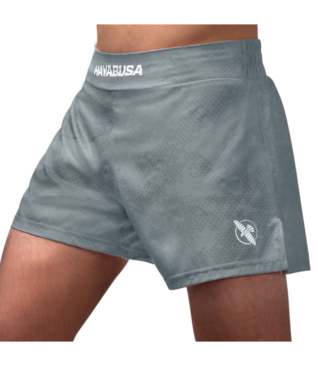 Hayabusa Arrow Kickboxen Fightshorts Shorts Grau