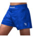 Hayabusa Arrow Kickboxing Martial Arts Sport Shorts Blue