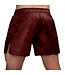 Hayabusa Hex Hybrid Fight Short Burgundy