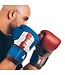 Hayabusa Captain America Boxing Gloves