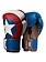 Hayabusa Hayabusa Captain America Boxing Gloves