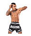 8 Wapens Muay Thai Short Carbon Black Night 2.0